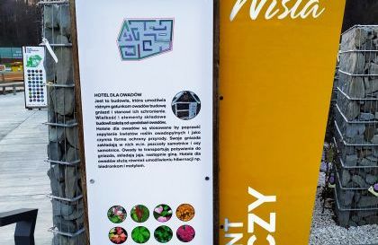 Wisła 31